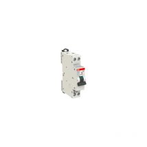 S202c-C20 2cds252280r0204 Abb 604314