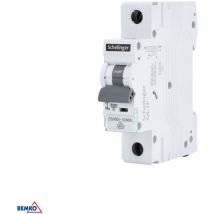 Schelinger - Disjoncteur de protection 63A - Monophasé - Courbe c - 10kA - IP20
