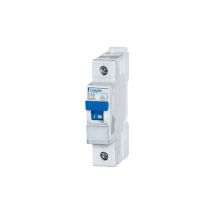 Disjoncteur Doepke Dls 6i C 16-1 10 Ka Disjoncteur 4014712171008 09916203
