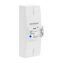Itron - Disjoncteur edf 60A 230V Instantané