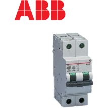 Disjoncteur Bipolaire 6ka - Courbe D - 4a À 20a - Calibre - Calibre 16a