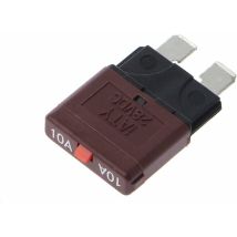 Tophomer - Disjoncteur à Fusible à Lame 10A pour Voiture Universel, 12/24V, 3x1.8cm, 1 pièce