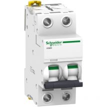 Schneider Electric - Disjoncteur modulaire bipolaire Schneider Acti9 iC60N 63A courbe d