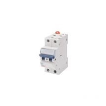 Disjoncteur MAGNETO-THER.2P C1 6KA 2M Gewiss GW92041