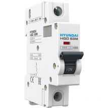 Hyundai - Disjoncteur modulaire 1P, 6kA, 10A, Courbe c