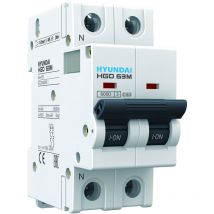 Hyundai - Disjoncteur modulaire 1P+N, 6kA, 25A, Courbe c