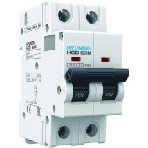 Disjoncteur modulaire 2P, 6kA, 63A, Courbe c