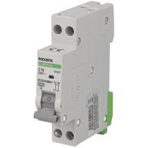 Noark - Disjoncteur modulaire phase neutre 2A courbe c 6kA Ex9PN-N