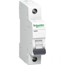Schneider Electric - disjoncteur A9K02102 3814626 2 a