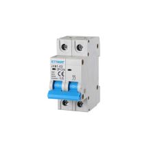 Ettroit - Interrupteur thermique magnétique 2P 16A 6Ka 220V 2 modules din JX121660