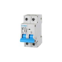 Ettroit - Interrupteur magnéto-thermique automatique 2P 20A 220V 2 modules din JX122060