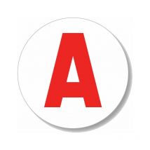 Intfradis - Disque a Electrostatique jeune conducteur 150 mm