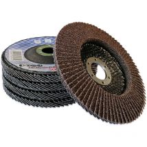 Disque a lamelle Bgs Technic diametre 125 (lot de 5) - choisissezici : grain 120