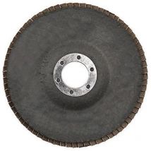 Disque à lamelles 125 mm, Grain 40