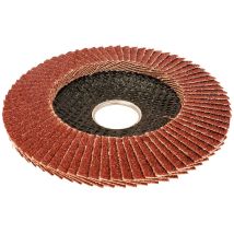 Disque à lamelles convexes Ø115x22,2mm 80g Workpro