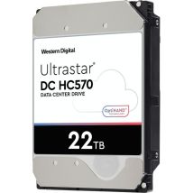 Disque Dur Western Digital Ultrastar 22 To Sata 0f48155