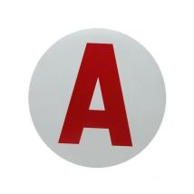 Disque électrostatique '' jeune conducteur