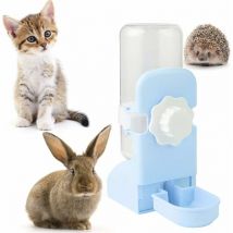 Distributeur Automatique Eau pour Petits Animaux et Petit Abreuvoir Suspendu pour Lapin Cobaye Furet Cochon d'Inde, Bleu