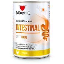 Disugual Diet Dog Intestinal Pollo 400gr