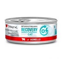 Gatto Dieta Recovery 85gr Agnello - Disugual