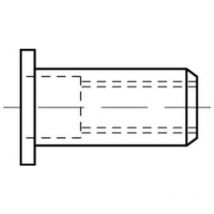 Reyher - Blindnietmuttern A 4 Flachkopf M 6 / 3,0 - 5,5 S 250 Stk