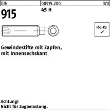 Din 915/iso 4028 Gewindestift Vg M24x50 Stahl 45h Blank Innensechskant M. Zapfen 25 Stk
