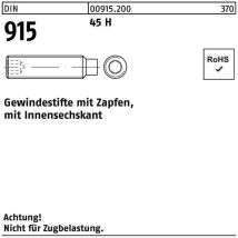 Gewindestift din 915 m.Zapfen/Innensechskant m 8 x 8 45 h