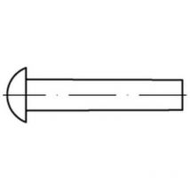 Din 660 Halbrundniete Kupfer 6 x 25 Cu s 250 Stk
