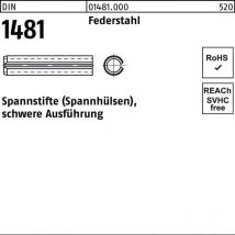 DIN 1481/ISO 8752 Spannstifte Federstahl 10 x 55 K 250 Stk