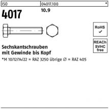 Vis hexagonale ISO 4017 VG x100mm