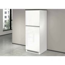 Dmora - Dispensa da cucina Plinio, Mobile multiuso, Armadio porta frigo a 2 ante, 100% Made in Italy, 60x60h165 cm, Bianco lucido e Ardesia, con