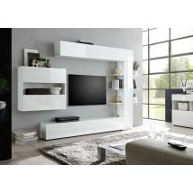 Dmora - Sistema de pared de salón reversible, Made in Italy, Mueble tv, Conjunto de salón moderno, 295x30h197 cm, Color Blanco Brillo y Mate, con