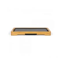 Plancha électrique de table DOC202 - Livoo