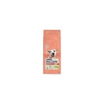 Dog chow Sensitive Adulte 14 kg Saumon - Purina