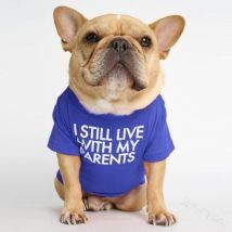 Aougo - Dog T-Shirt with the inscription: i Still Live with My Parents (Blue, xl)