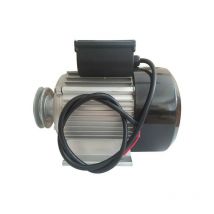 DOMAC Moteur electrique 3cv/230V avec poulie