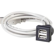 Double Embase Femelle Usb Oktron-juwel Double Usb Femelle Type A Vers 2 Usb Mâle Type A Longueur 60 Cm Schlegel Okj2us