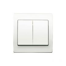Double Va et Vient Blanc Delta Iris + Plaque basic Blanc Siemens