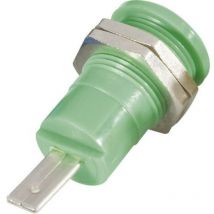 Douille banane de sécurité ø de la broche: 4 mm Schnepp bu 4600 gr vert 1 pc(s) D29815