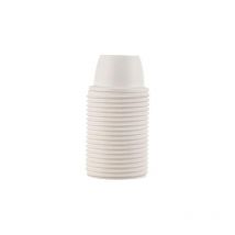 Douille de lampe E14 couleur blanc bi en plastique filetée Fanton 62812