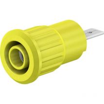 Douille de sécurité embase femelle ø douilles 4 mm Stäubli SEB4-F/A 23.3160-24 jaune 1 pc(s) X462911