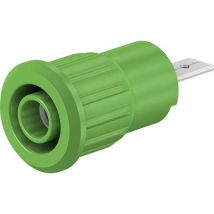 Douille de sécurité embase femelle Ø douilles 4 mm Stäubli SEB4-F/A 23.3160-25 vert 1 pc(s) X462381