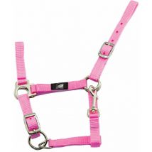 MINI SHETLAND, Bleu Royal: Douille pour poulain en nylon avec double réglage et mousqueton