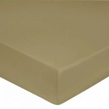 Drap housse 100% Satin de coton Peigné / 80 fils /cm² - Lin - 160 x 200 cm