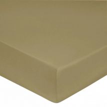 Drap housse 100% Satin de coton Peigné / 80 fils /cm² - Lin - 180 x 200 cm