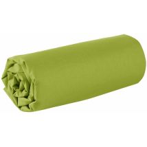 Doulito - Drap Housse - 180 X 200 Cm - 100% Coton - 57 Fils - France - Vert