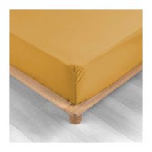 Drap housse queen size 160 x 200 cm bonnet 30 cm percale de coton 78 fils Ocre