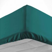 Drap housse 160x200 cm - Bonnet 30 cm - 100% coton