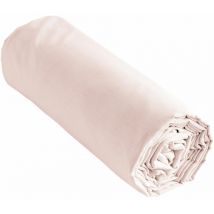 Drap housse 100% coton 57 fils 180x200 bonnet 30 cm ambre Rose