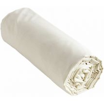 Drap housse 100% coton 57 fils 160x200 bonnet 30 cm ambre Beige